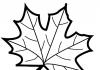 Maple leaf template size A4